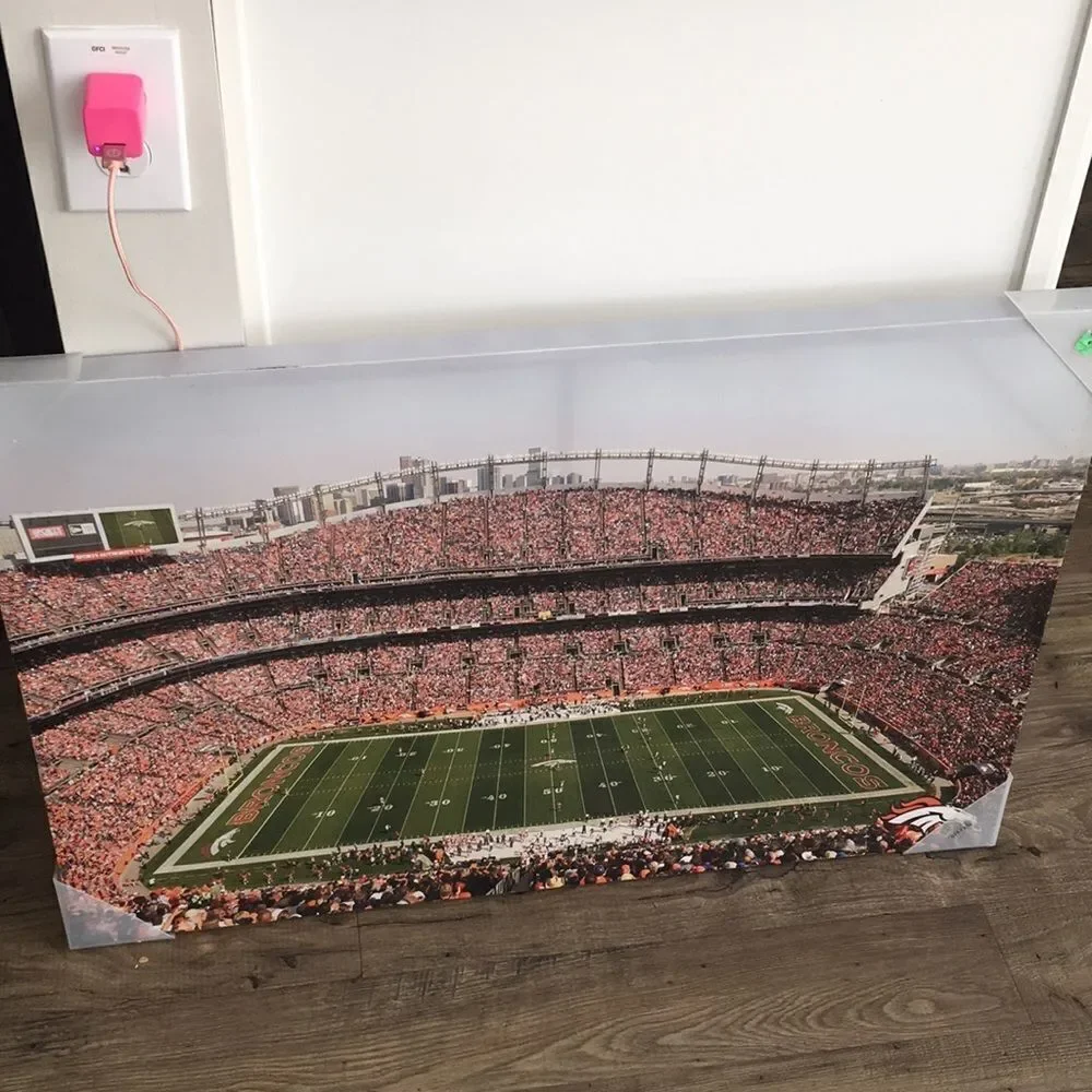 Denver Broncos Mile High Stadium Print Picture